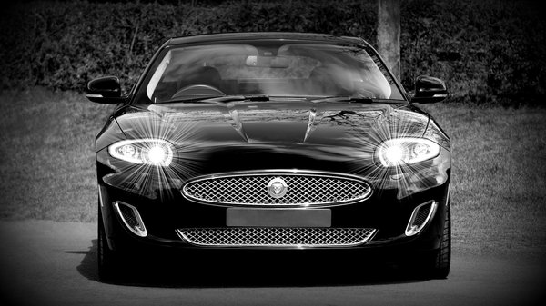 Quels sont les impacts environnementaux des véhicules à essence comparés à ceux des véhicules hybrides ?